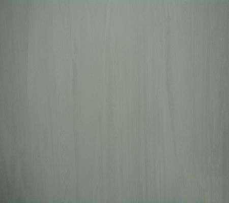 Easy Cleaning Homogeneous Anti Static Pvc Sheet Non - Directional Polychrome Design