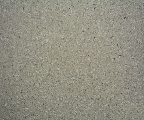 Multi Colors Anti Slip Vinyl Flooring , Anti Static PVC Plastic Flooring