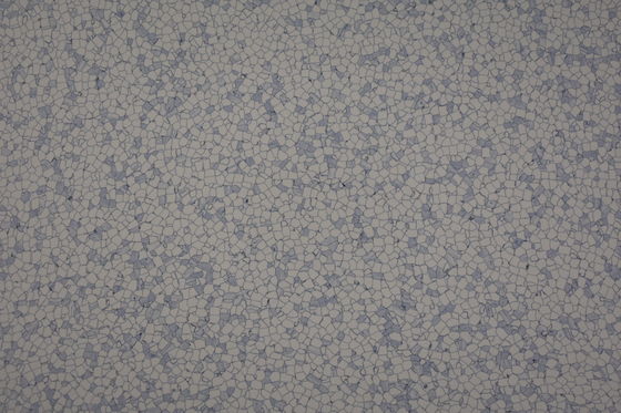 Anti Slip 2mm Thickness Anti Static Vinyl Flooring CE / SGS / ISO Certificate
