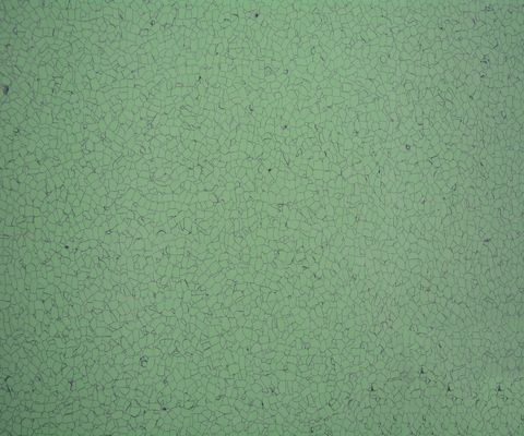 2mm Thick Anti Static Flooring , 600*600mm Anti Slip Vinyl Flooring