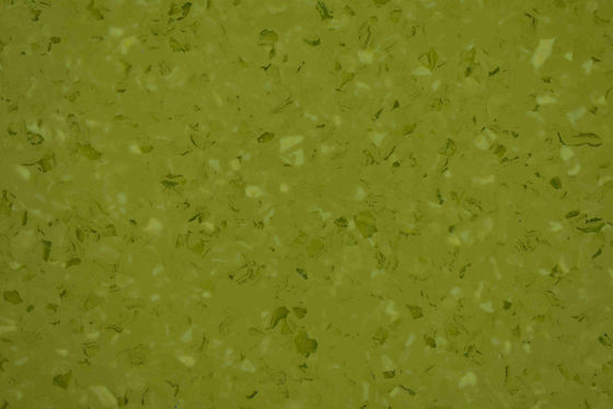 Colorful Homogeneous Vinyl Flooring Eco - Friendly Plastic Hospital Library