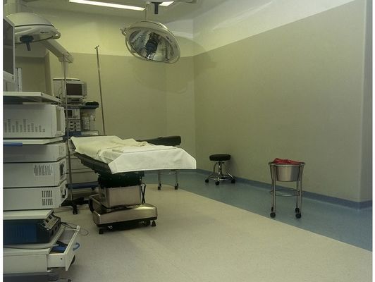 Thermal Resistance Homogeneous PVC Flooring Sheet Roll Anti Bacteria Non Slip