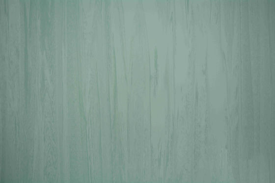 Non Slip 3mm Hospital PVC Flooring
