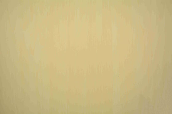 2mm Antibacterial Homogeneous Pvc Vinyl Flooring