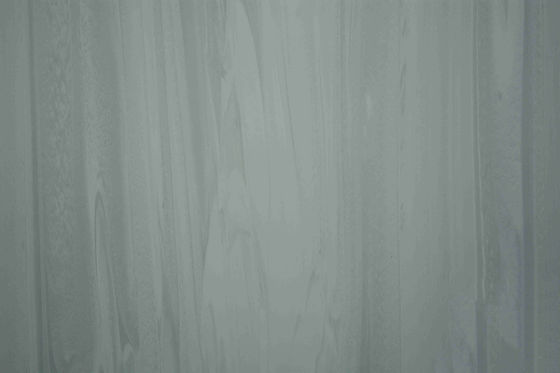 Compact Homogeneous Vinyl Sheet Hospital Flooring