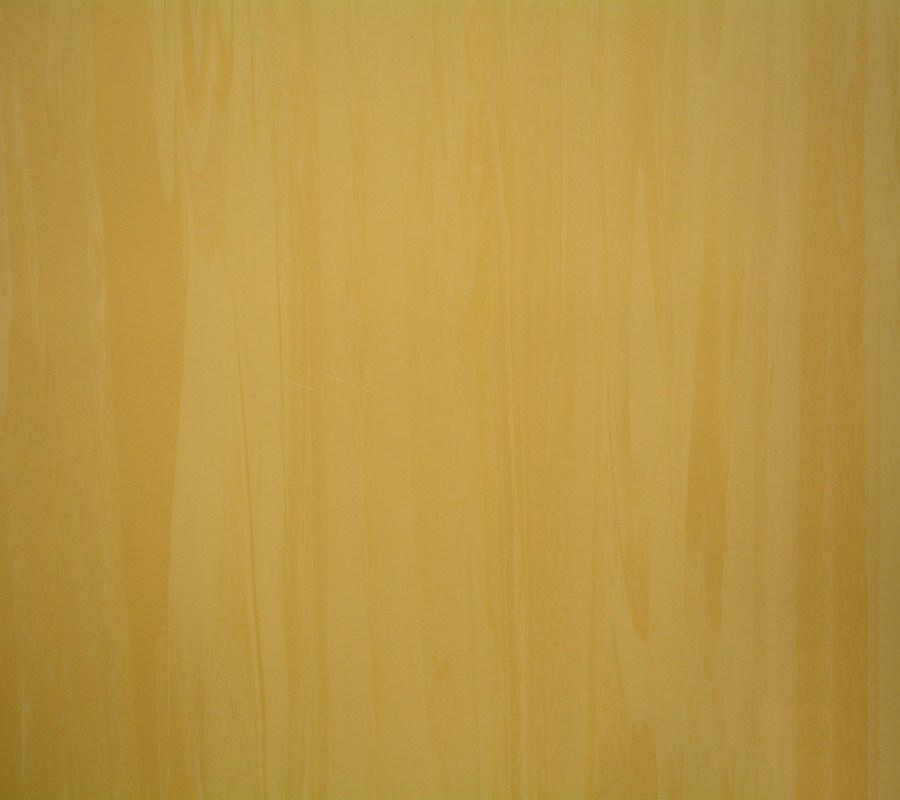 Anti Bacterial Homogeneous Tiles Flooring Different Patterns Available