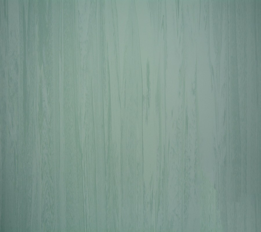 Anti Bacterial Homogeneous Tiles Flooring Different Patterns Available