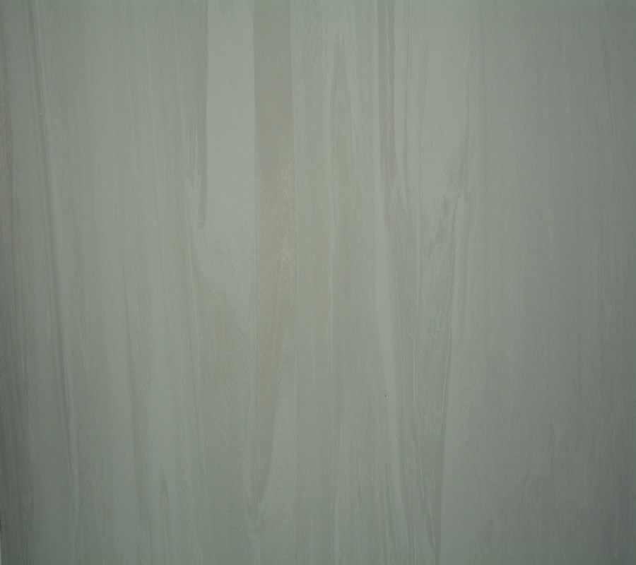 Multi - Color Homogeneous Hospital PVC Flooring 2mm - 3mm Thickness