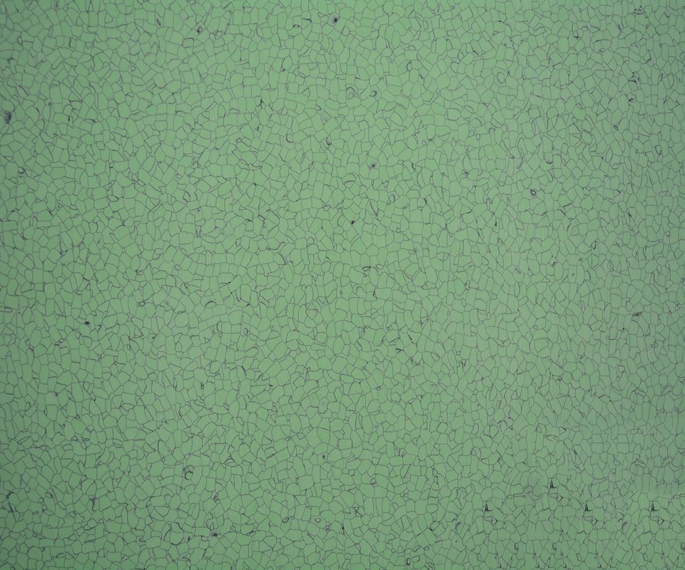 2mm Thick Anti Static Flooring , 600*600mm Anti Slip Vinyl Flooring