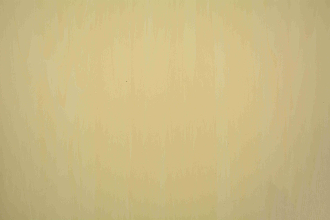 2mm Antibacterial Homogeneous Pvc Vinyl Flooring